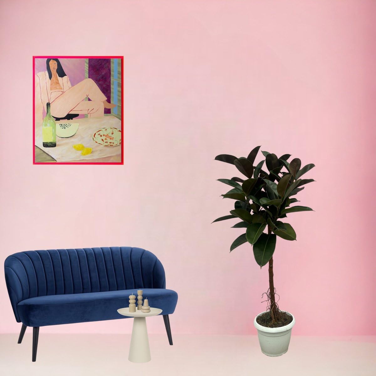 Trendyplants - Ficus Elastica Robusta Stamm - Gummibaum - Höhe 130-150 cm - Topfgröße Ø32cm