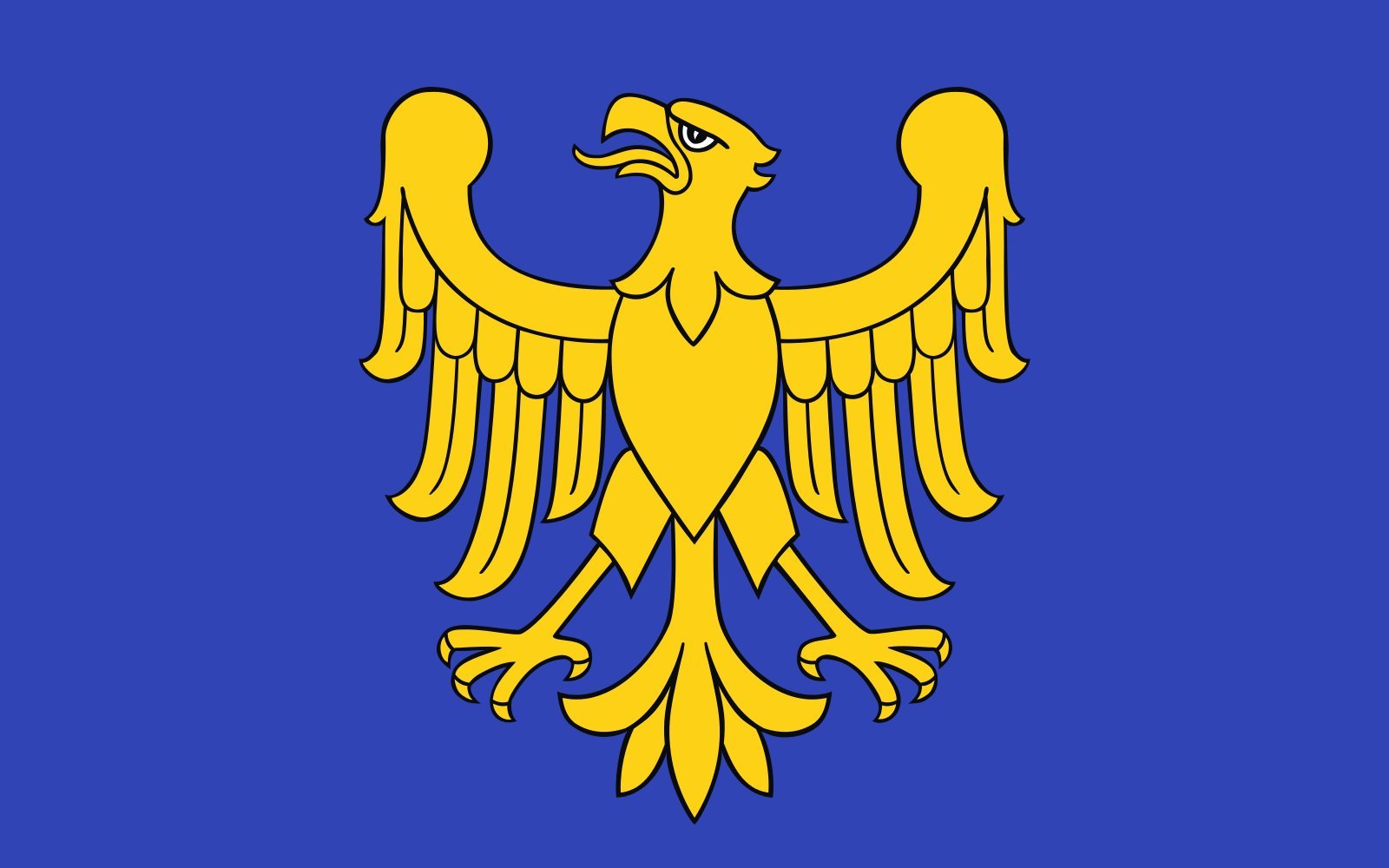 Drapeau Large POL województwo śląskie pavillon officiel de la région Silésie