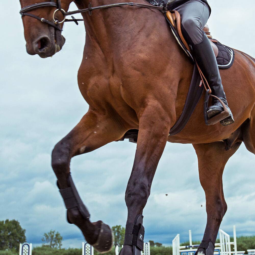 HORZE Dallas Allzweck-Gurt, 142,2 cm, Braun