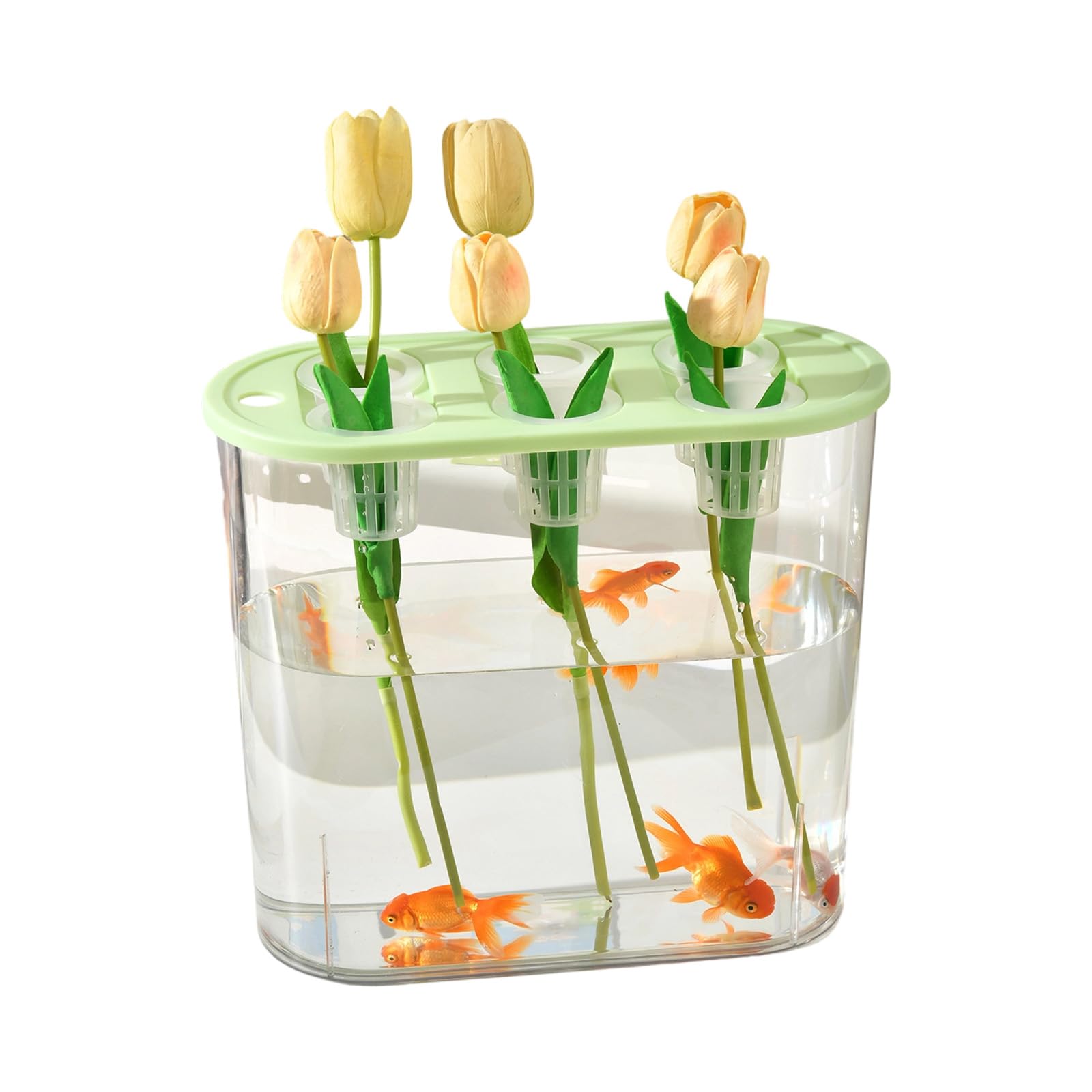 Piceioep Multiple Use Water Culture Box for Hydroponic Tulips Bean Succulents and Various Plant in Homes Gardening Garden Tool