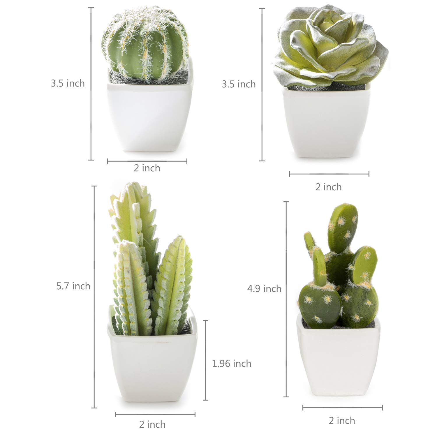 Amazon.com: Nattol Artificial Mini Succulent & Cactus Plants in White Cube-Shaped  Pots for Home Decor, Set of 4 : Home & Kitchen