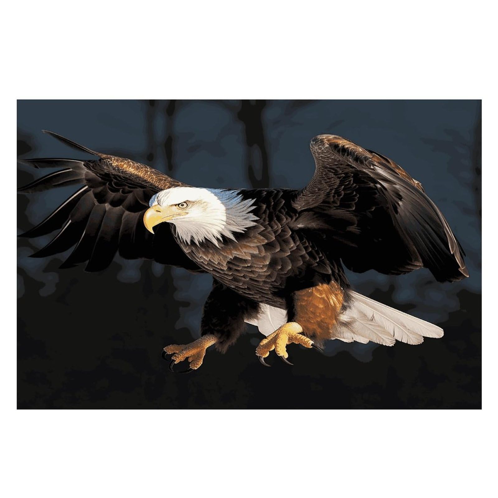 Placemats Placemats 3D Bald Eagle Placement Mats for Dining Table Place Mats Suitable for Personal Dining Tables Dinner Parties BBQ Weddings