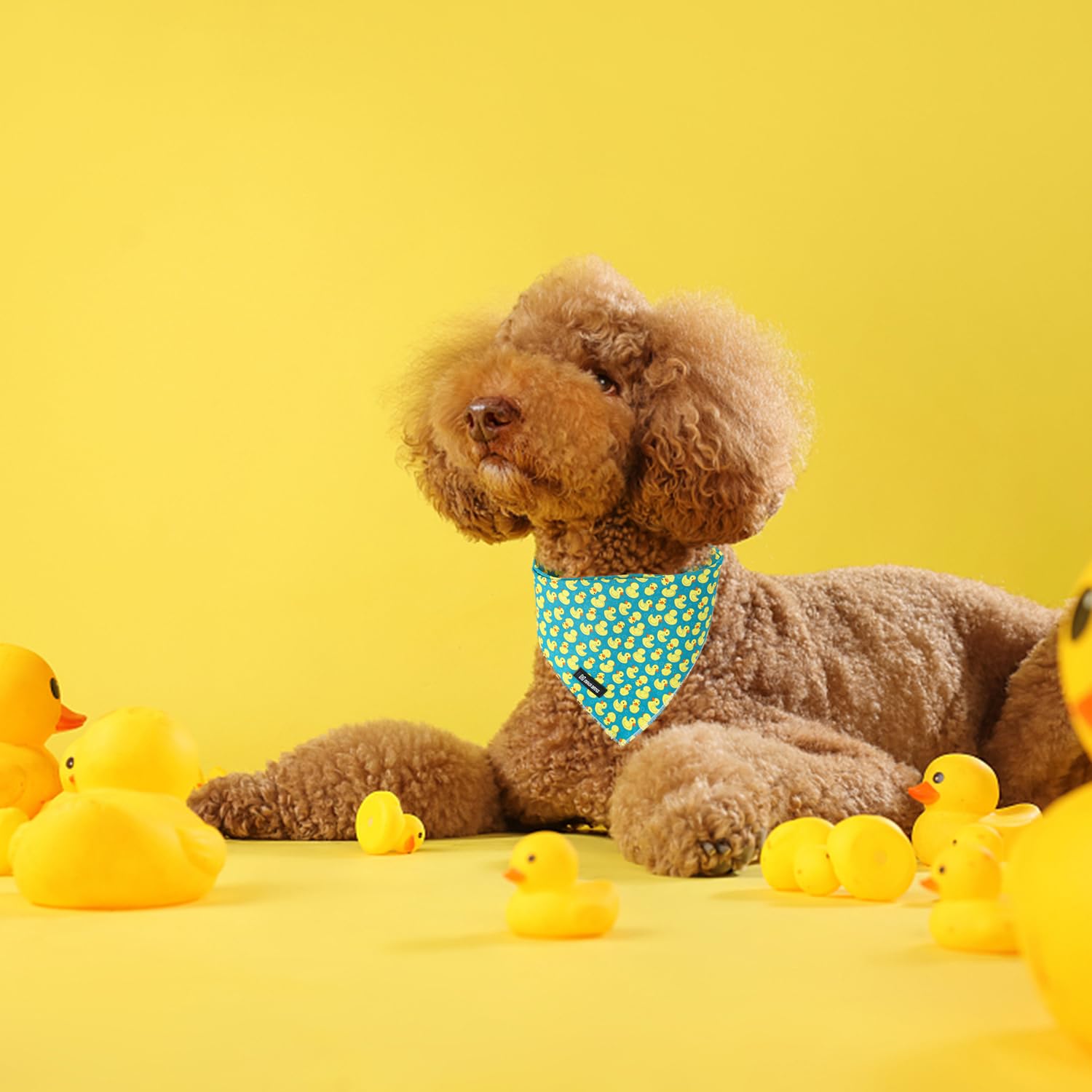 MACA Bates Hundehalstuch, niedliches Hunde-Halstuch, Dreieckstuch, weiche Baumwolle, verstellbar, Geschenk für kleine, mittelgroße und große Haustiere