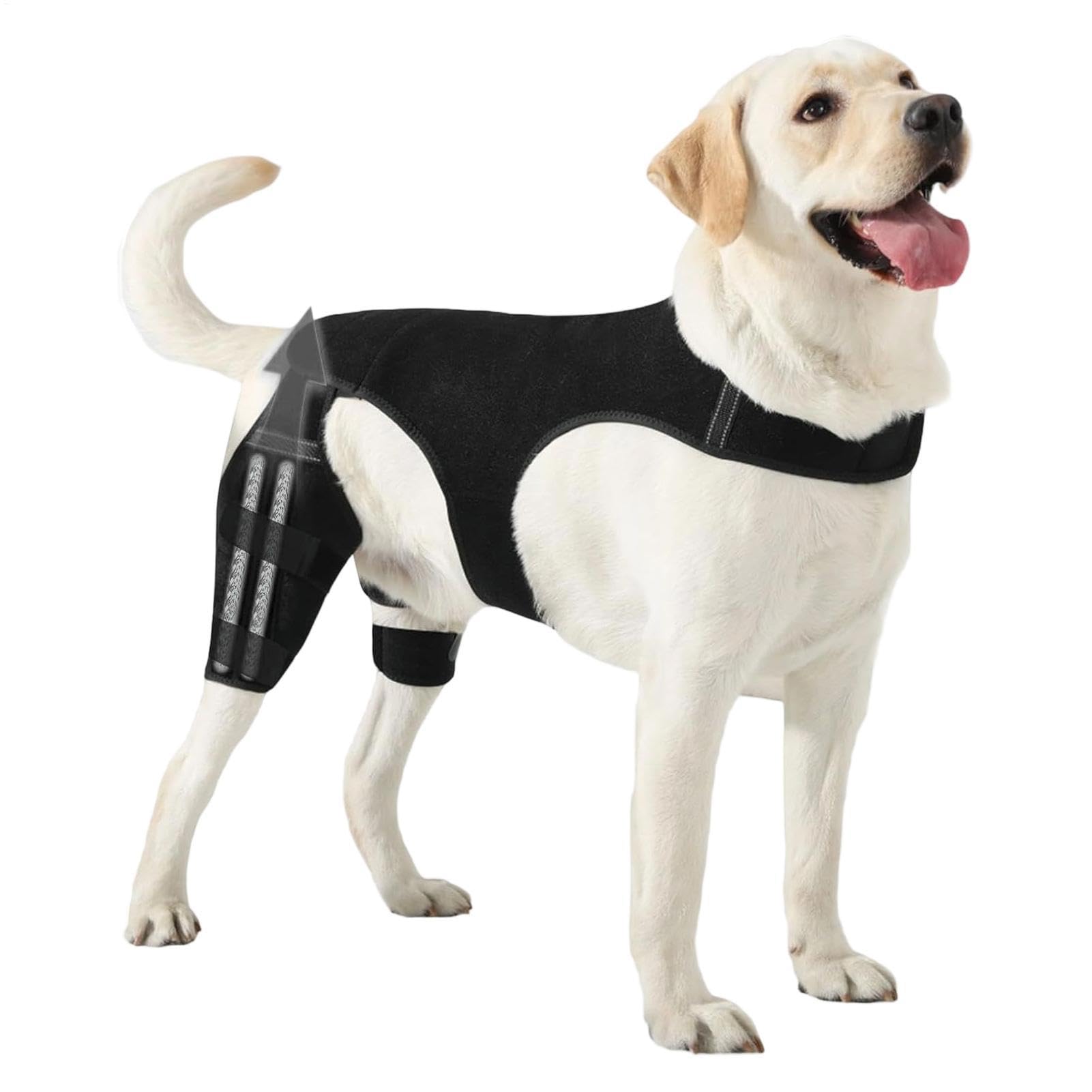 Genouillères pour Chien Patte Arrière Bandage Articulaire Réglable | Support Pour Patte Arrière De Chien Avec 4 Stabilisateurs En Métal Pour Marche Randonnée Exercice Activités Extérieures Parc