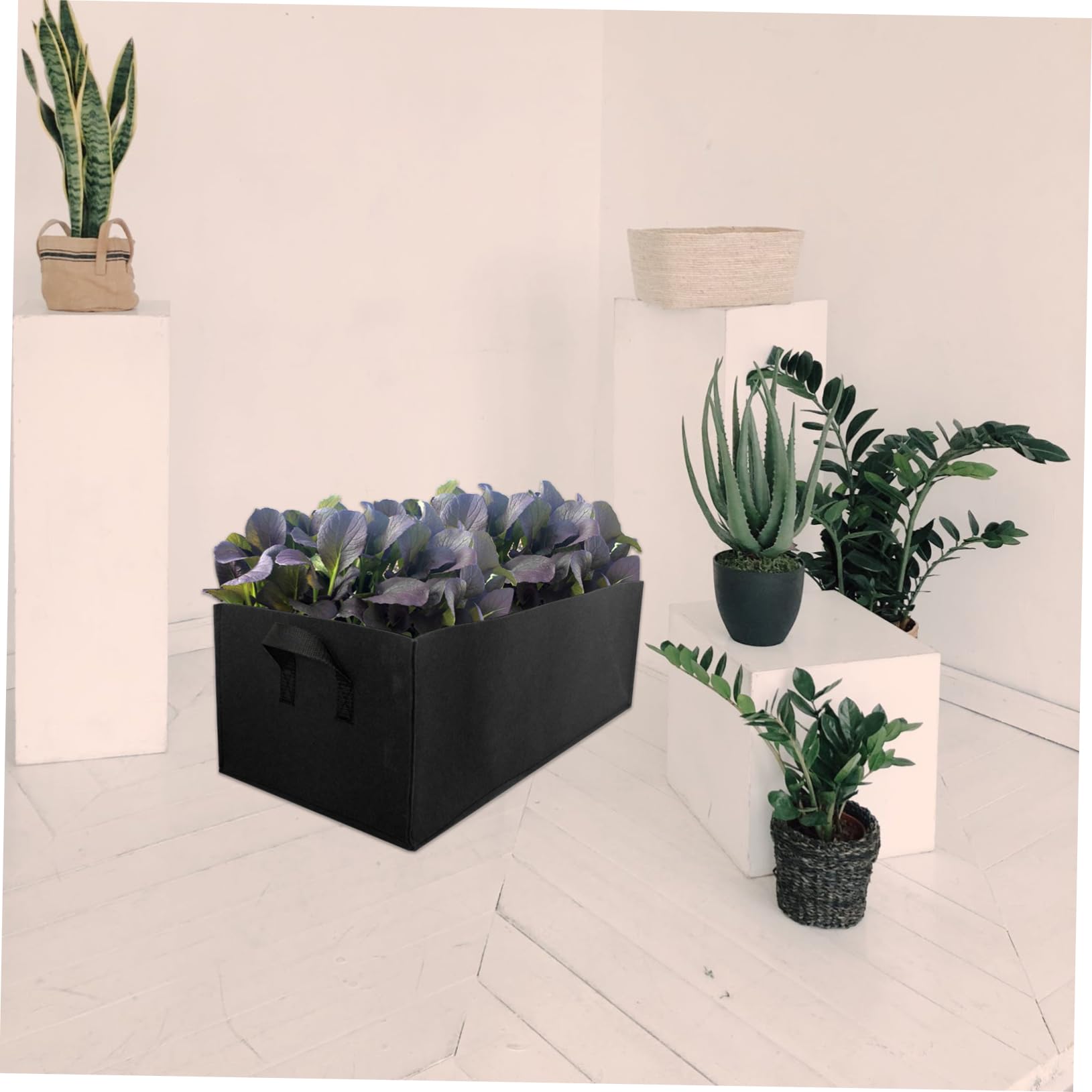 UPKOCH 6stücke Pack Quadratische Pflanzbeutel Für Gemüse Blumen Anzuchtbeutel Gewächshaus-pflanzgefäße Gartengeräte Schwarz Mittlere