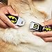 Buckle-Down Hundehalsband mit Schnalle, Batman-Schild, Schwarz/Gelb, 1.5' Wide - Fits 16-23' Neck - Medium, Mehrfarbig