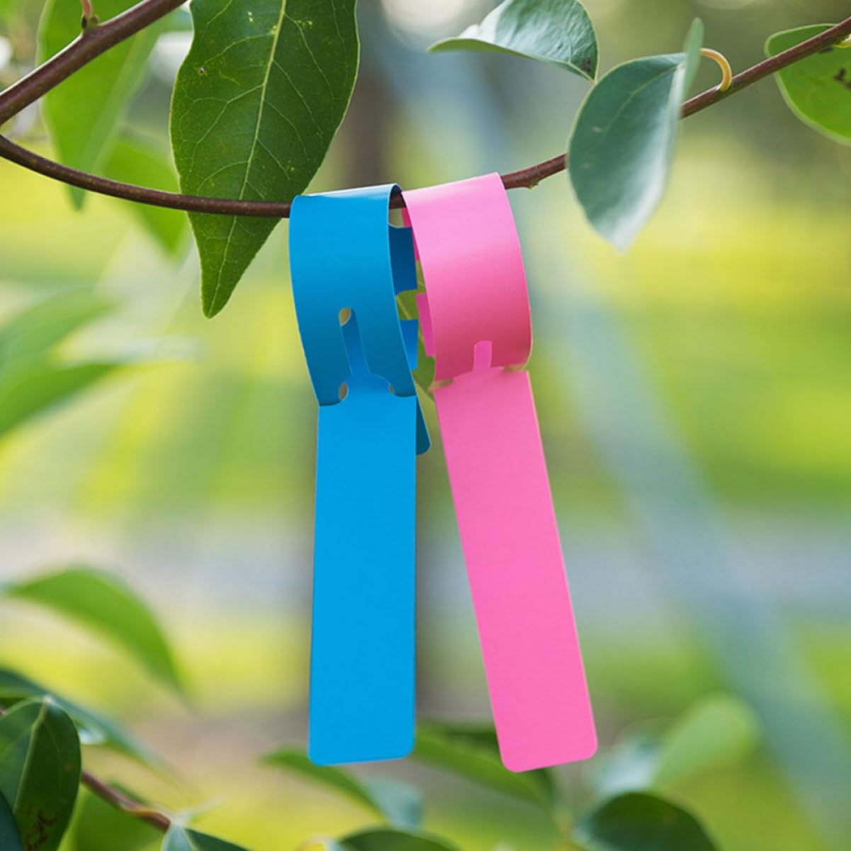 SUPVOX 2 Set Etichetta Fiore Tag Vivaio Indicatore Di Piante Da Giardino Etichette Per Piante Appese Etichetta Del Giardino Etichetta Della Pianta 300 Pezzi * 2