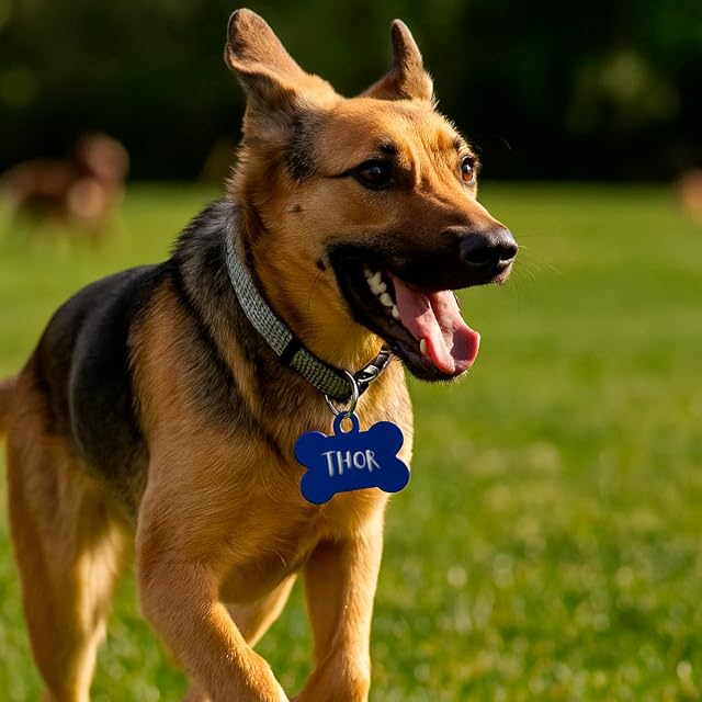 Foto 6 de 8 de DEREGALOOS Chapa Identificativa Mascotas Personalizada Grabada 2 Caras. Forma de Hueso. Placa para Perros…
