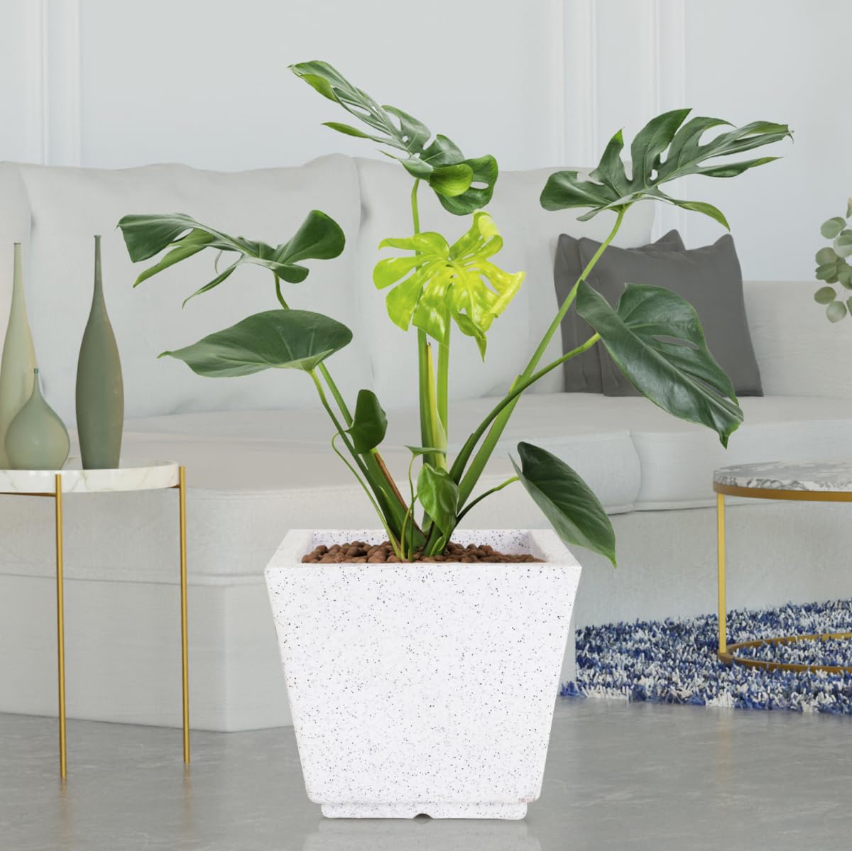GTB German Polymer 10 inch Marble Texture Pot/GAMLA/GAMLE/PLANTERS for Indoor/Outdoor Usage with 2 Year Warranty(Plants NOT Included) (B0D4JVPNZ4) Amazon Price History, Amazon Price Tracker