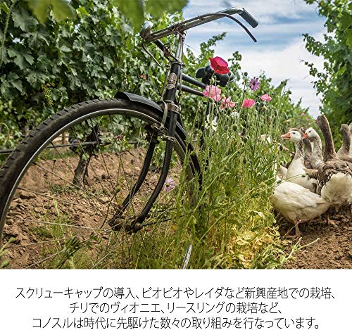 コノスル シングルヴィンヤード シラー