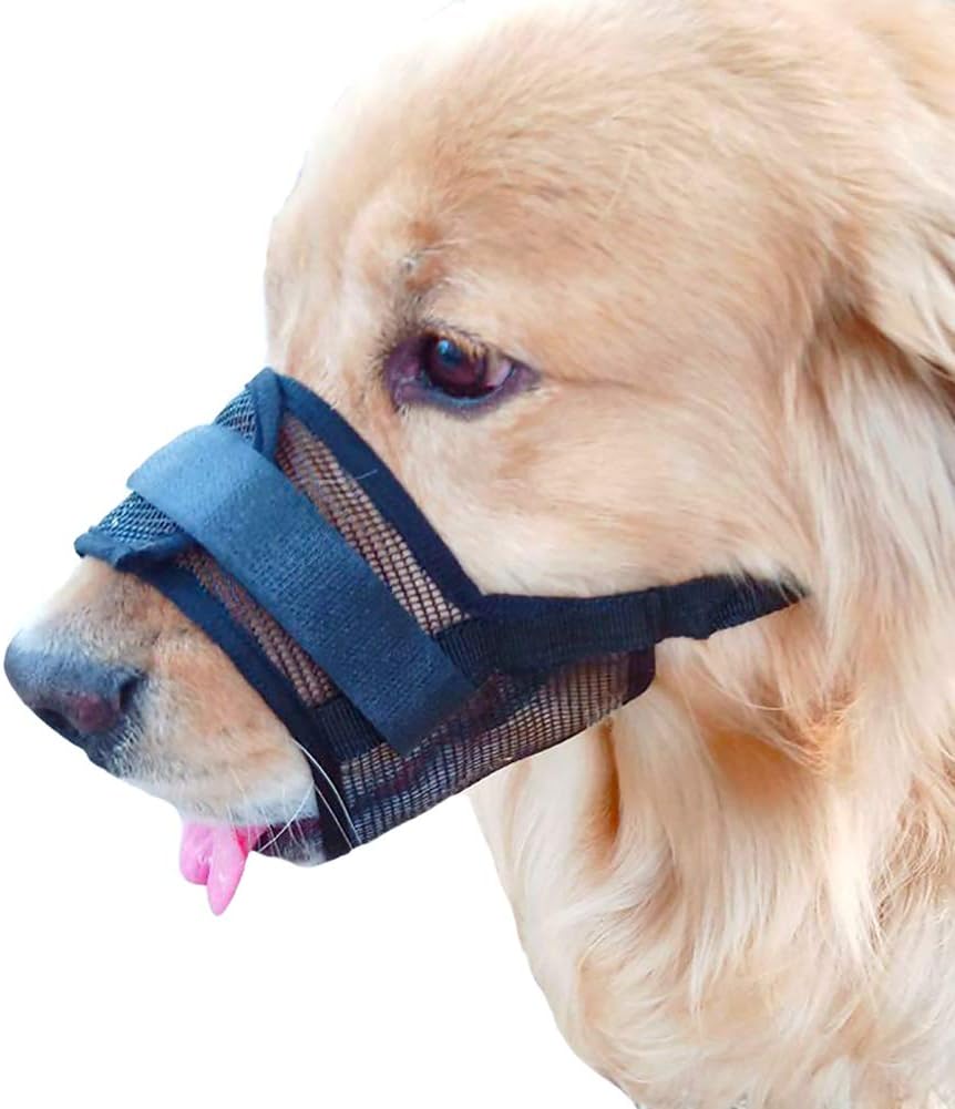 basket muzzle petco