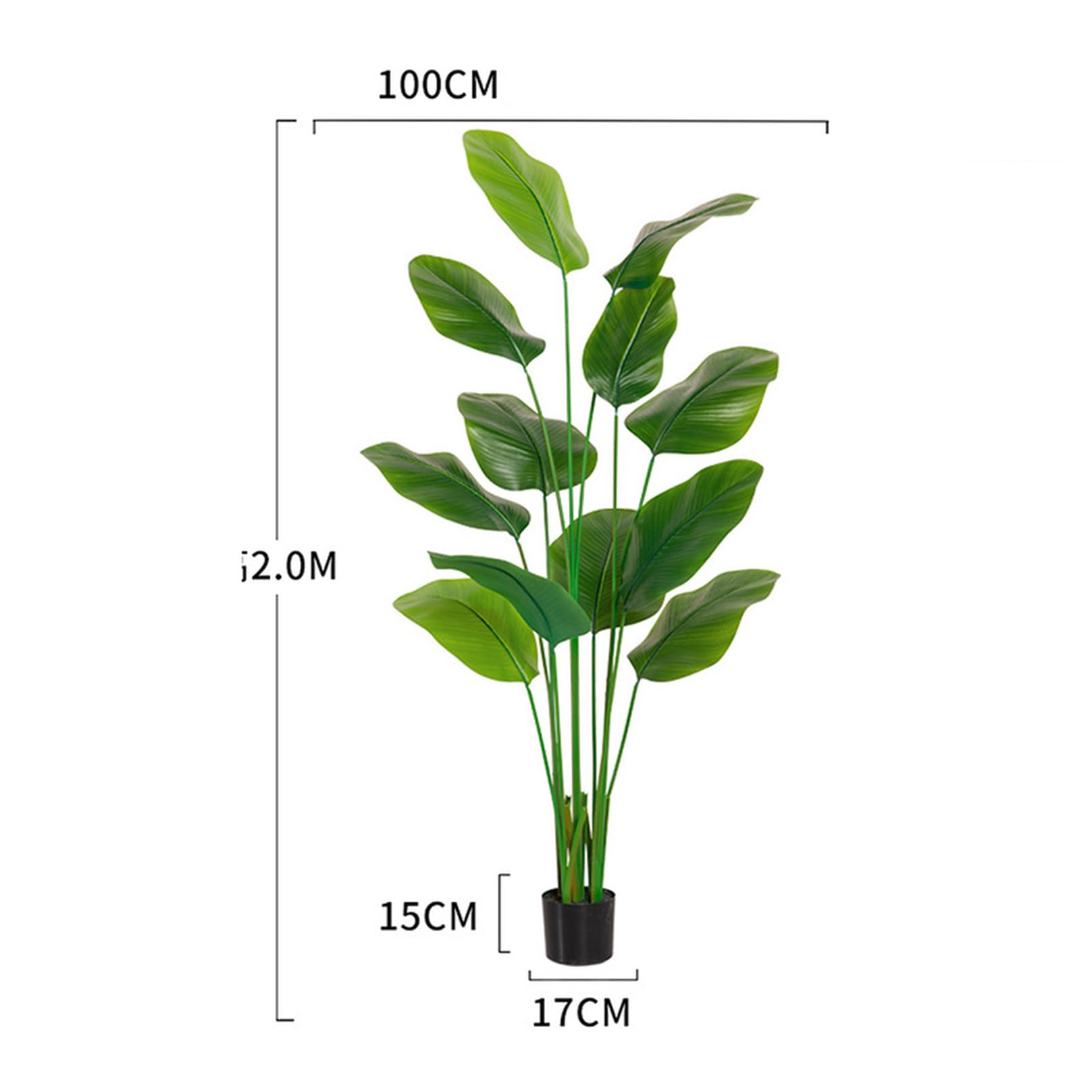 Amazon｜[LJKI] 人工観葉植物 極楽鳥花 ストレリチア 180cm フェイク