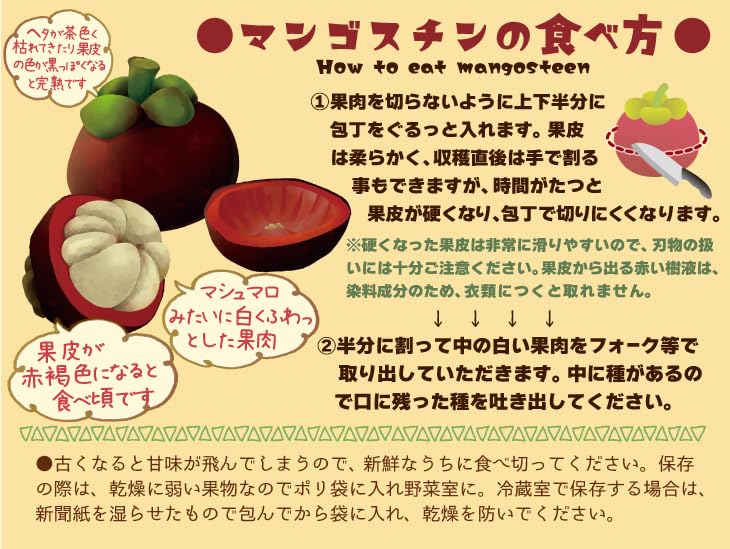 Amazon.co.jp: マンゴスチン 6玉 タイ産 ご家庭用 熱帯果実 莽吉柿