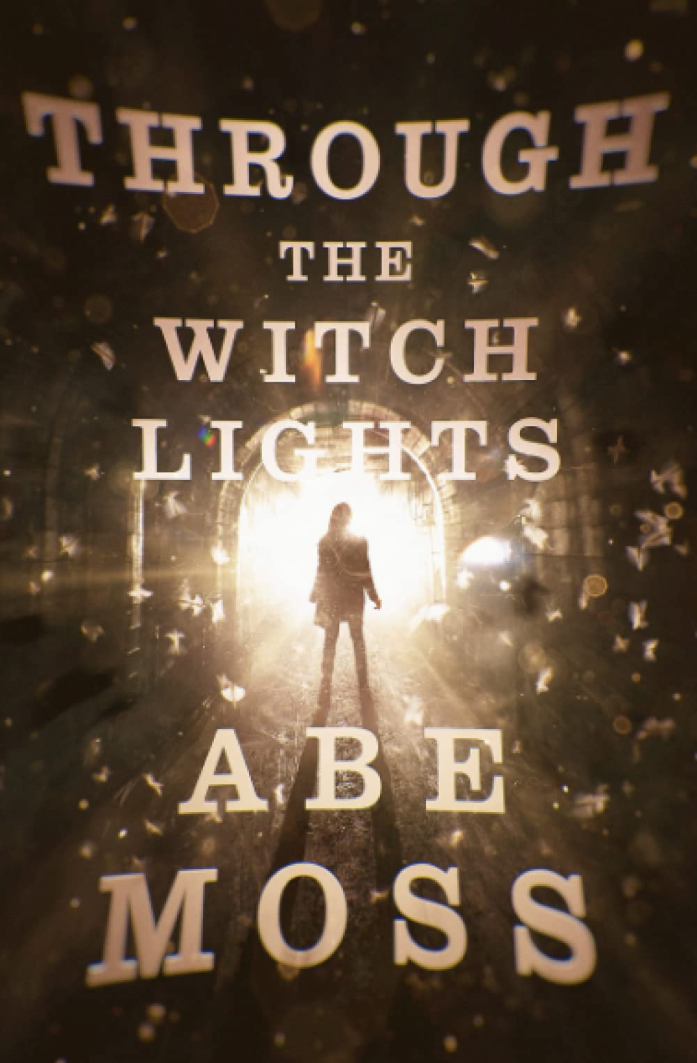 Through the Witch Lights (The Dread Void Book 5)
