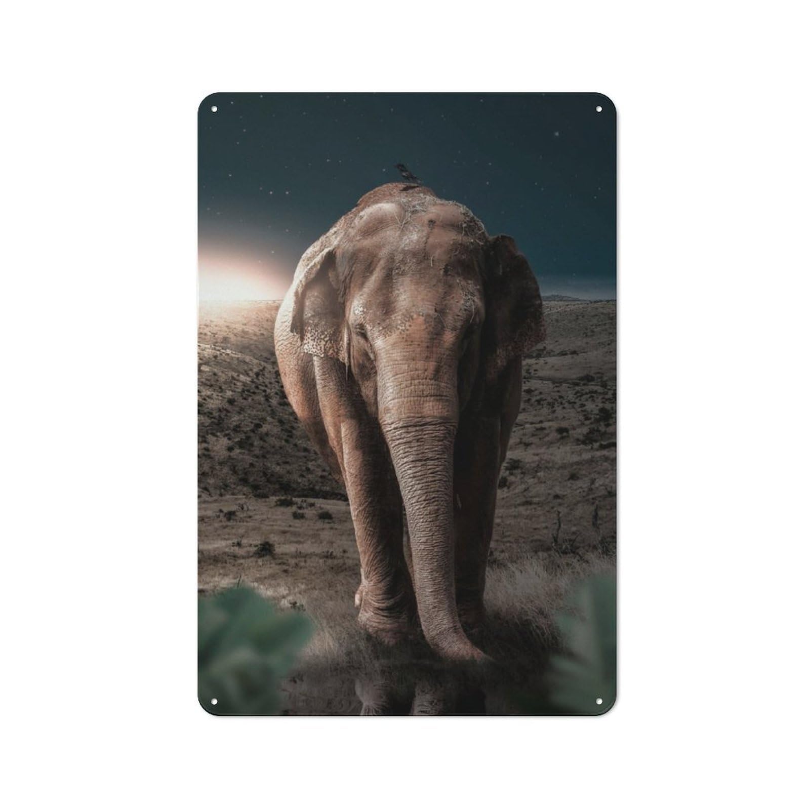 Junmoney Midnight Elephant Rustic Tin Sign 30X20cm, Garden Style Garden Room Wall Plaque For Conservatory, Home Bar Or Utility Room