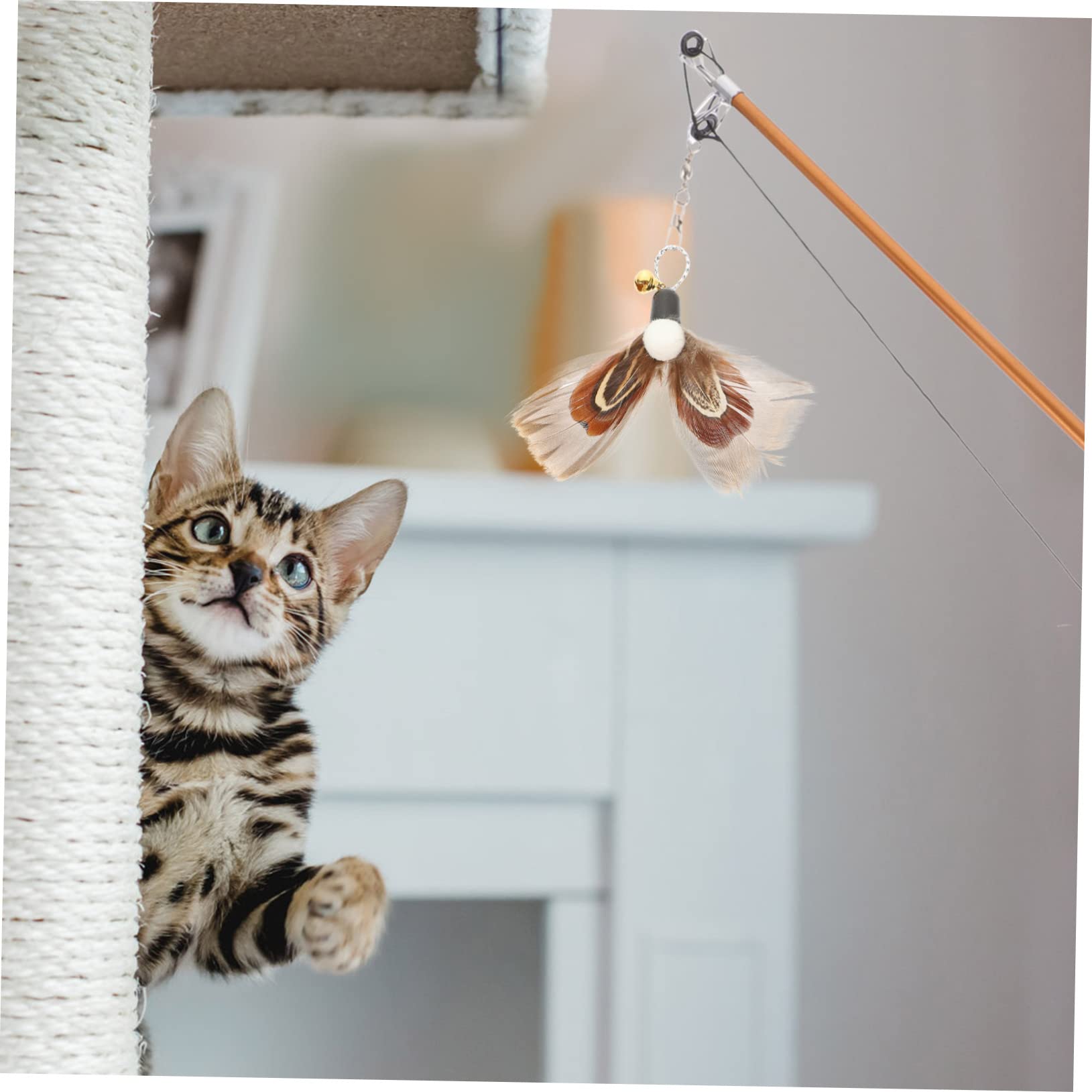 Yardwe 30pièces Recharge pour Canne à Chat avec Insectes Et Plumes Jouets pour Intérieur Améliorez Lien avec Animal
