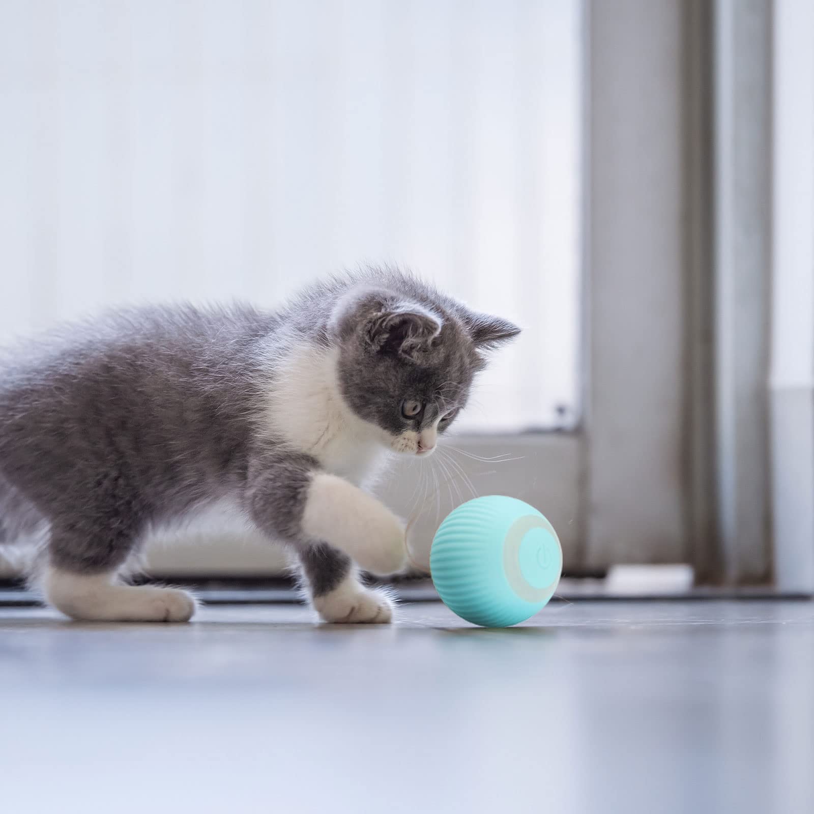 Punchingball Spielzeug Für Katzen – Mit Saugnapf Für Balkon, Wohnzimmer & Garten