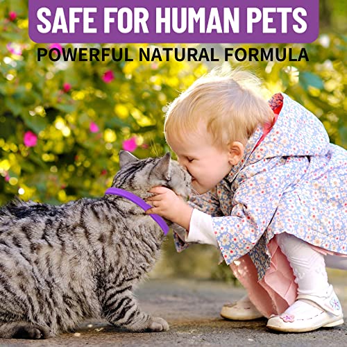 VICSOM-Cat-Calming-Collar-Calming-Collar-for-Cats-Calming-Cat-Collar-Pheromone-Anti-Anxiety-Adjustable-Waterproof-Cat-Collar-Natural-Calm-Treatment-for-Small-Medium-and-Large-Cats-2pcs-188In