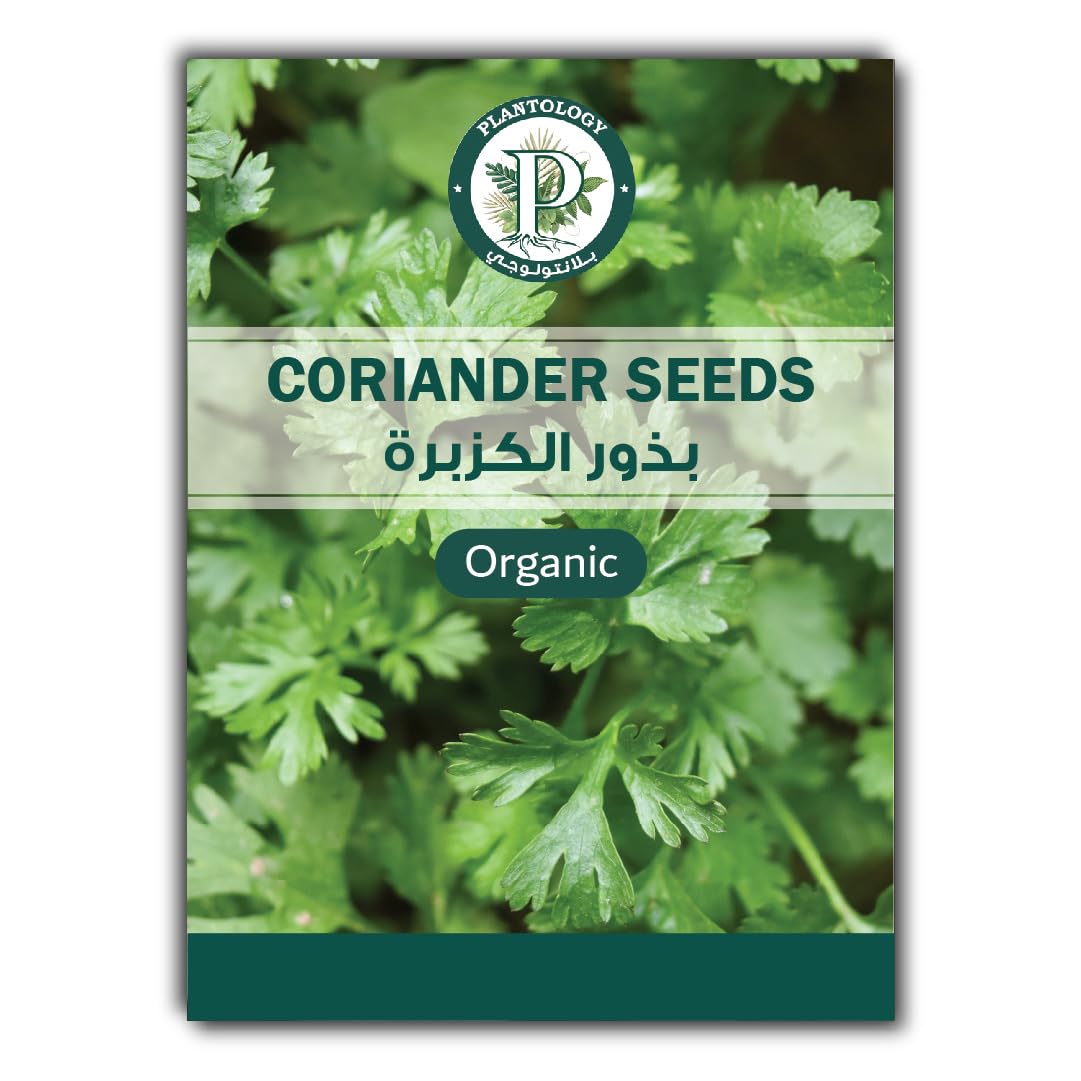 Coriander Seeds for Planting - Organic Seeds for Potting - Fresh Seeds for Planting - Natural Seeds