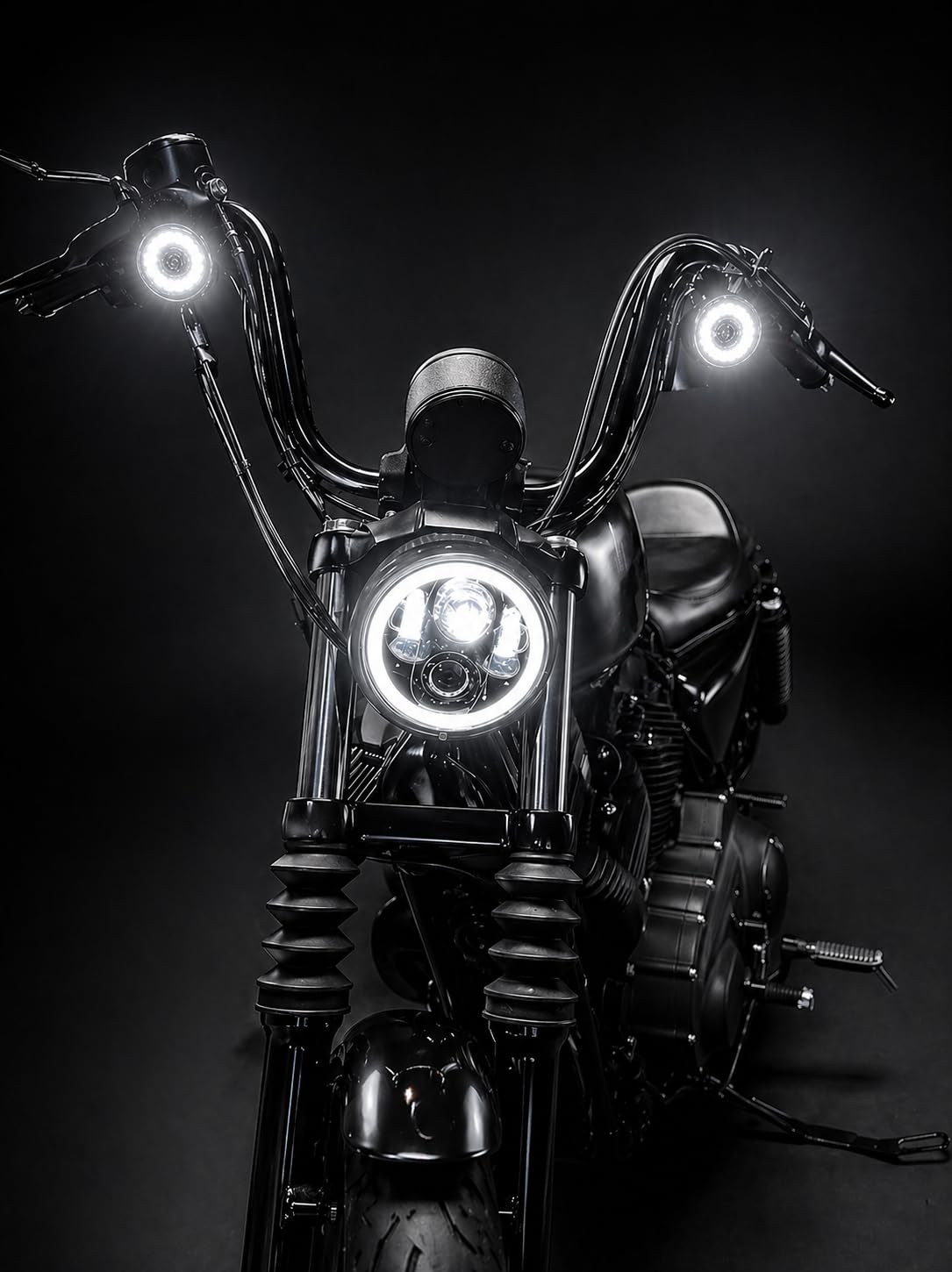 Amazon.com: Eagle Lights 8748TS 2