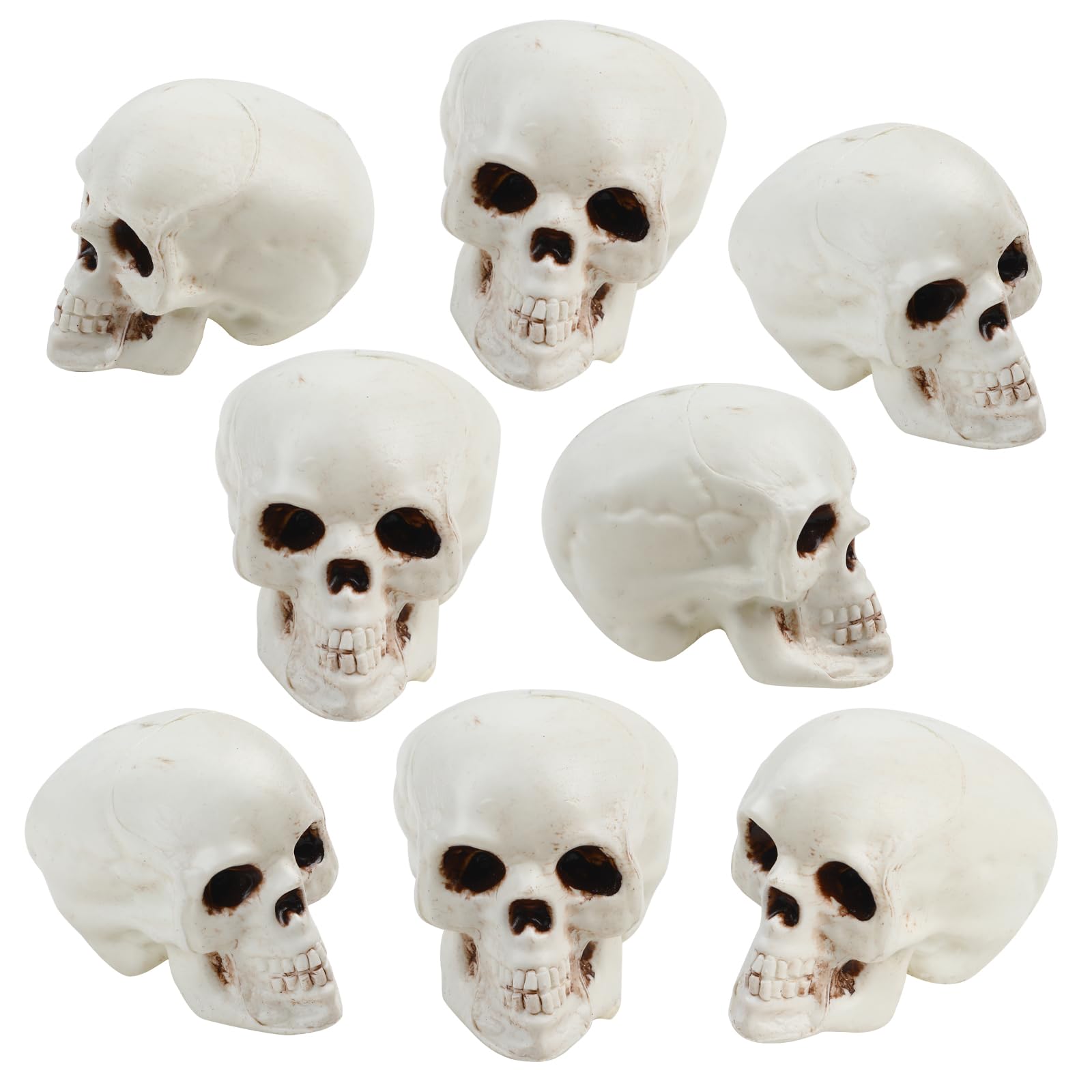 KIMOBER 8PCS Halloween Skull Heads Decor,Plastic Realistic Human Skeleton Skulls Head Prank Props for Party Bar Home Table Decorations (1.8 x 2 x 2.4