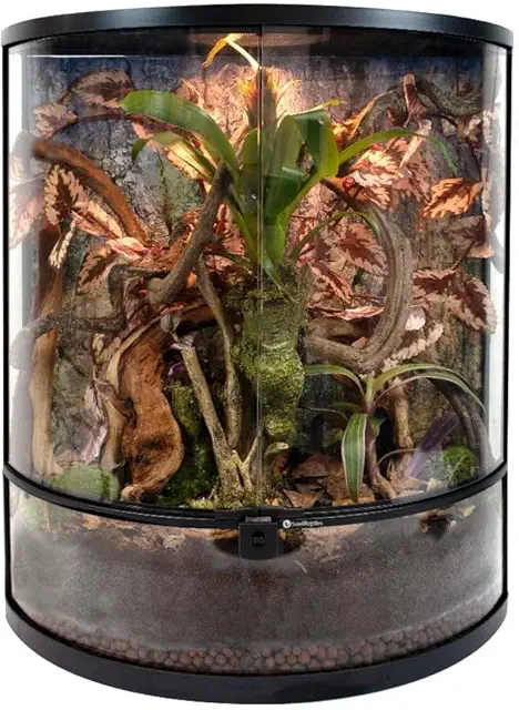 Swell Half Moon Glass Terrarium 70L - 18x18x24 Reptile Enclosure with Dual Doors
