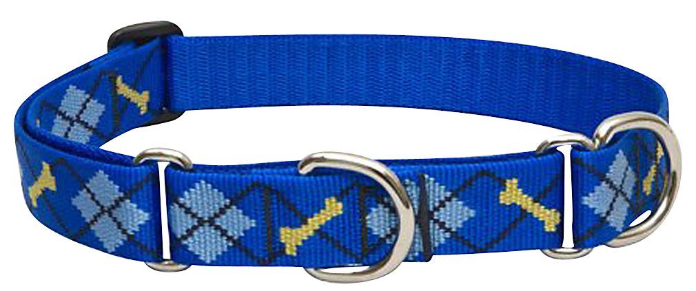 Originals 1" Dapper Dog 19-27" Martingale Collar for Large Dogs