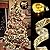 GIHOO Christmas Tree Decorations String Lights 32ft 100 LED Lights Copper Wire Ribbon Bows Lights for Party Weddings Holiday Christmas Tree Decorations (Gold Warm Light Battery Powered)