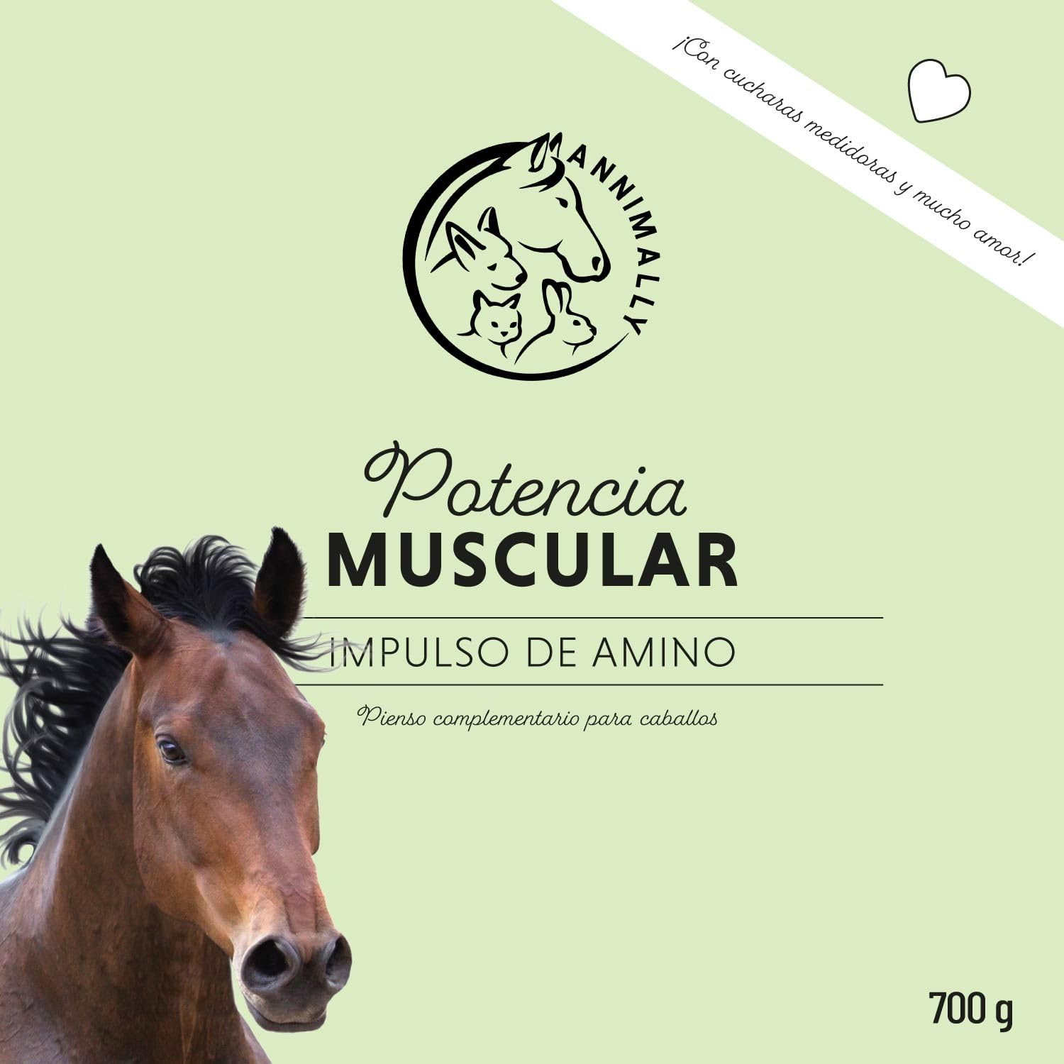 Polvo para el Desarrollo Muscular para Caballos de 700 g con proteína de Soja, lisina, carnitina, treonina, metionina: suplemento aminoácido para el fortalecimiento de la Musculatura en Caballos