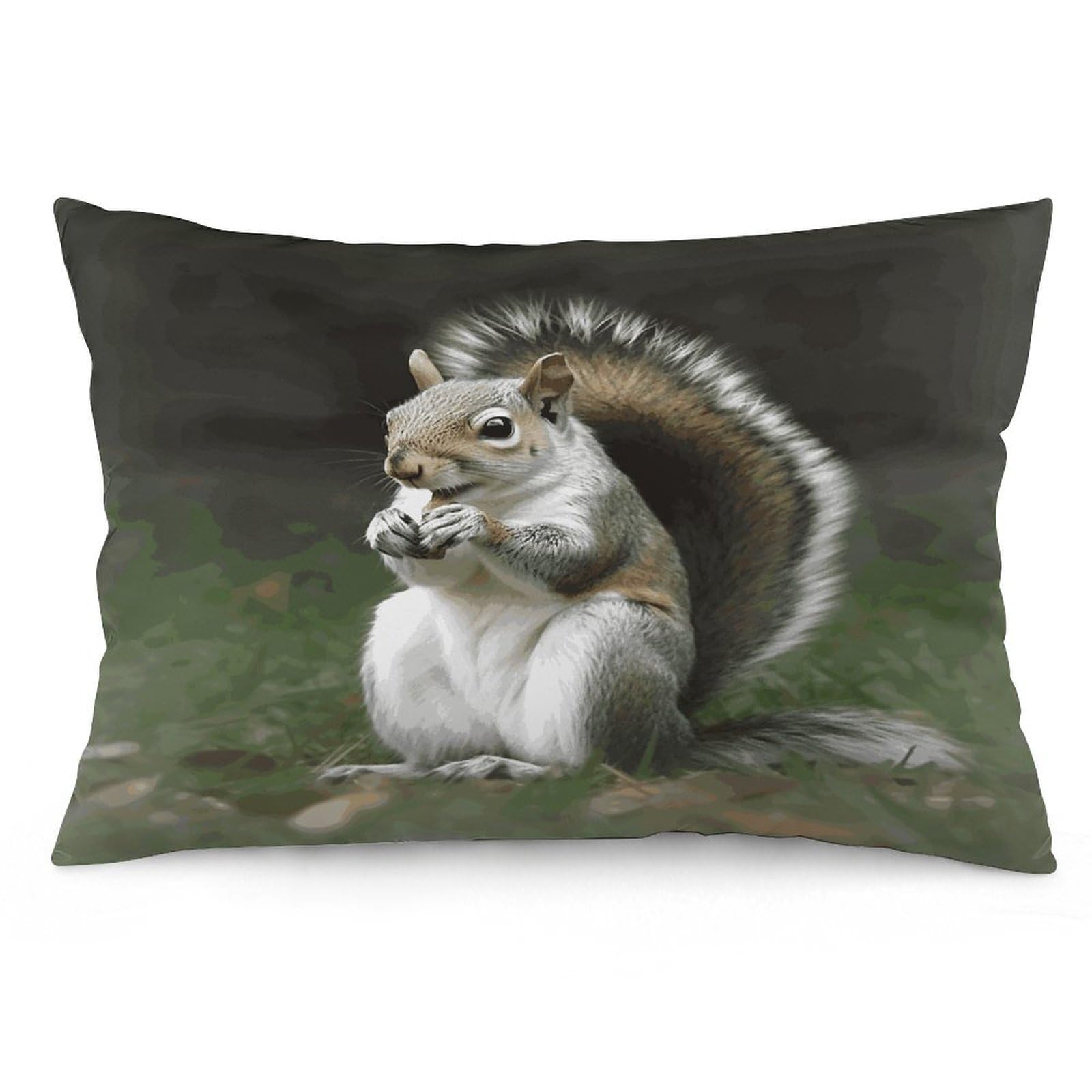Squirrel Throw Pillow Covers with Silent Zipper Polyester Pillow Protectors Removable Pillow Cases Soft Pillowcase Cozy Pillow Sham Cushion Cover for Sofa Car Bed 16 "x24