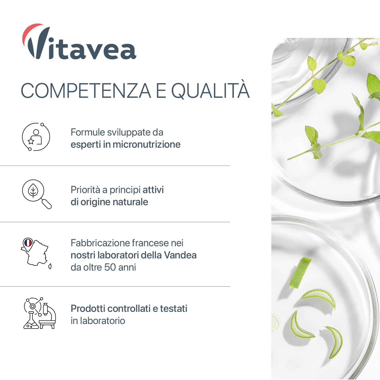 Aglio Nero Fermentato 9000 mg (Estratto 30:1) + Vitamina B1 – Supporto Salute Cardiovascolare e Funzione Cardiaca – Antiossidante Naturale – Senza Odore – 90 Capsule Vegane