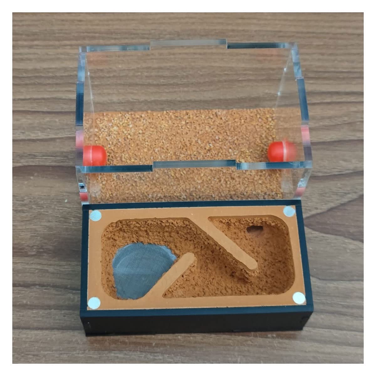 DIY Yeso Nido Hormigas, Acrílico Granja Hormigas, Caja Hormiguero con Área Alimentación Nidos Hormigas Ants Nest Insectos Villa Pet Mania House para Hormigas Doméstica