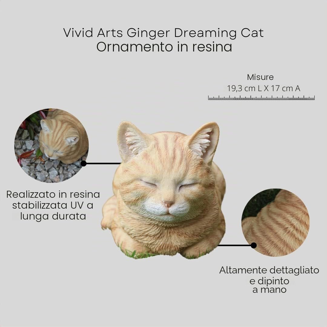 Vivid Arts Zenzero Sognare Gatto, Ornamento Resina