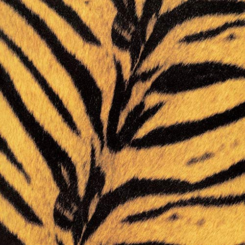 ザ・ハイロウズ　↑THE HIGH-LOWS↓　Tigermobileセット ザ・ハイロウズ ↑THE HIGH-LOWS↓ Tigermobileセット Amazon.co