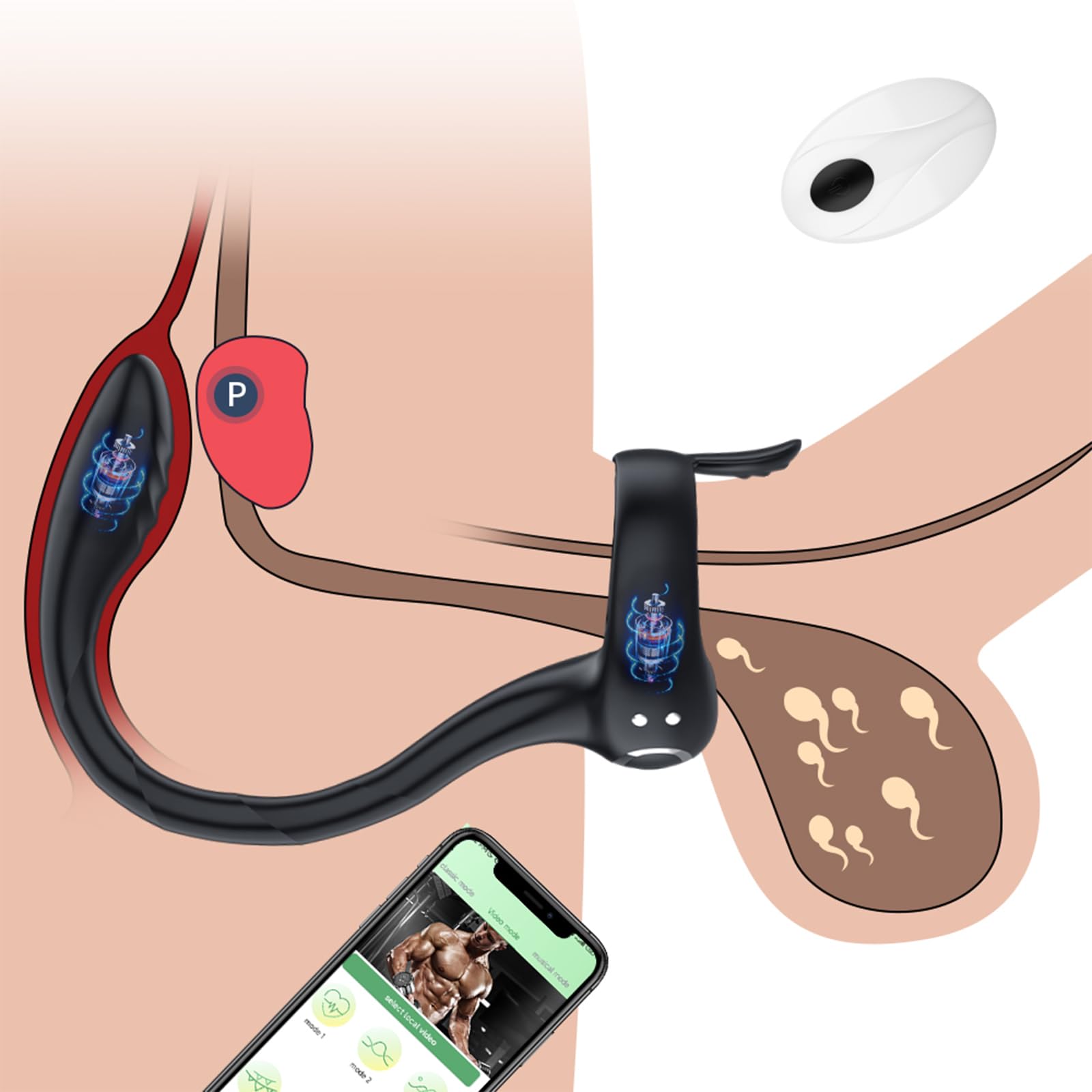 YcsLust Penisring Vibratoren mit APP Fernbedienung,Penisring Vibratoren mit  10 Intensive Vibrationsmodi,Elektrische Penis Trainer Vibrator  Mastrubrator,Mnnliches Spielzeug (App-Steuerung) : Amazon.de: Drogerie &  Krperpflege