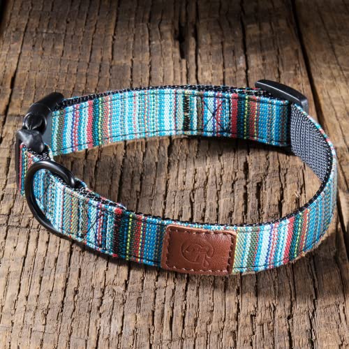 Embark Urban Hundehalsband, mittelgroße und große Hunde (Boho, Medium)