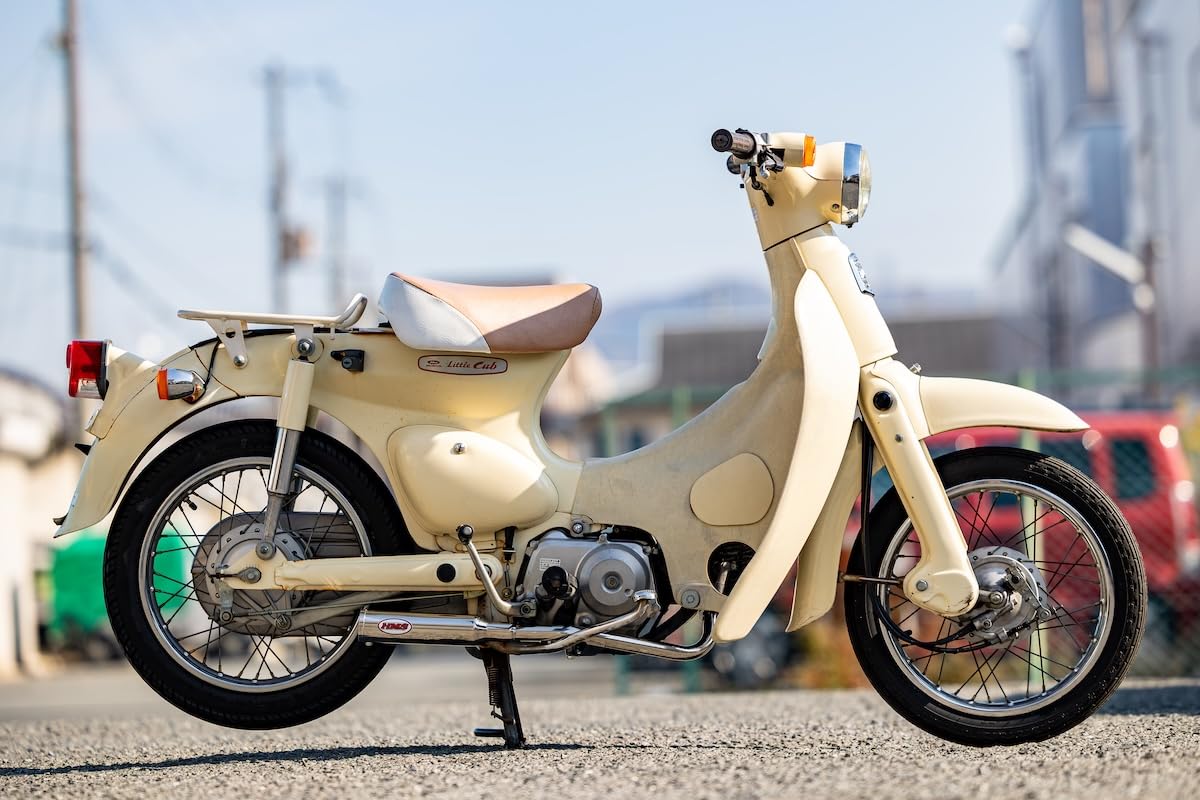 Amazon | 【国内メーカー HMS製】バンプショット フィフティ (Bump