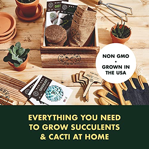 Cactus Succulent Seed Starter Kit - Indoor Garden Grow Kits, Seeds for Planting Mini Cactus Succulent Plants, Plant Markers, Soil, Pots, Wood Box - Fathers Day Gardening Gifts - Image 3