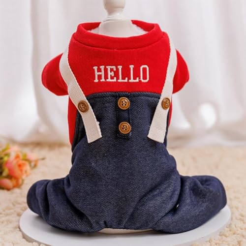 ̕ hfjTybg p[X nNтł RX`[ H~ߑ _炩 Ȃ hbO  ybgpi (M)