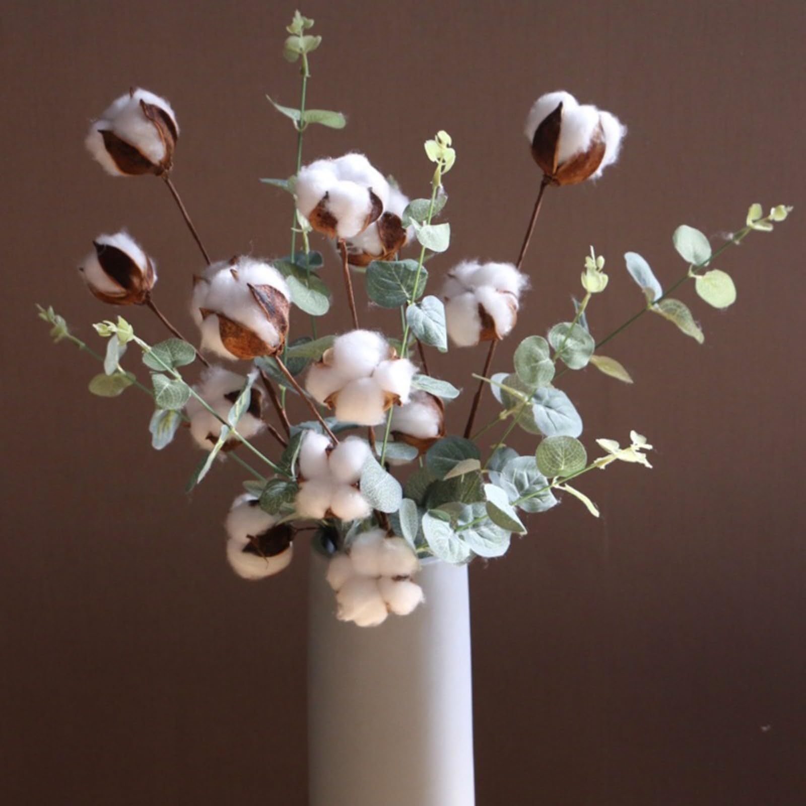 Fleurs séchées en coton avec 4 feuilles d'eucalyptus