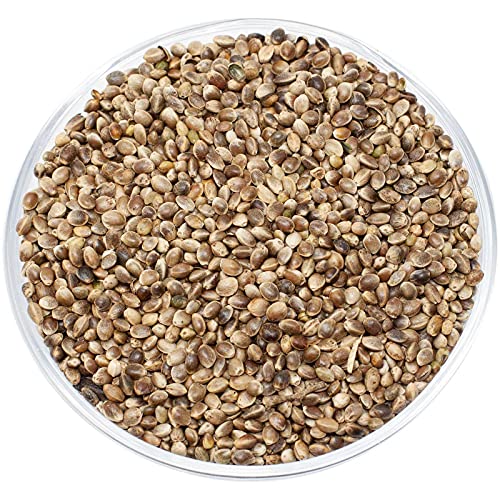 Leimüller Hanfsamen Hanfsaat europäisch 1 kg | Futter-Hanf Pferdehanf für Pferde, Ponys und Vögel | Fördert die Tiergesundheit | Hoher Gehalt an Omega-3-Fettsäuren | Ohne Zusätze