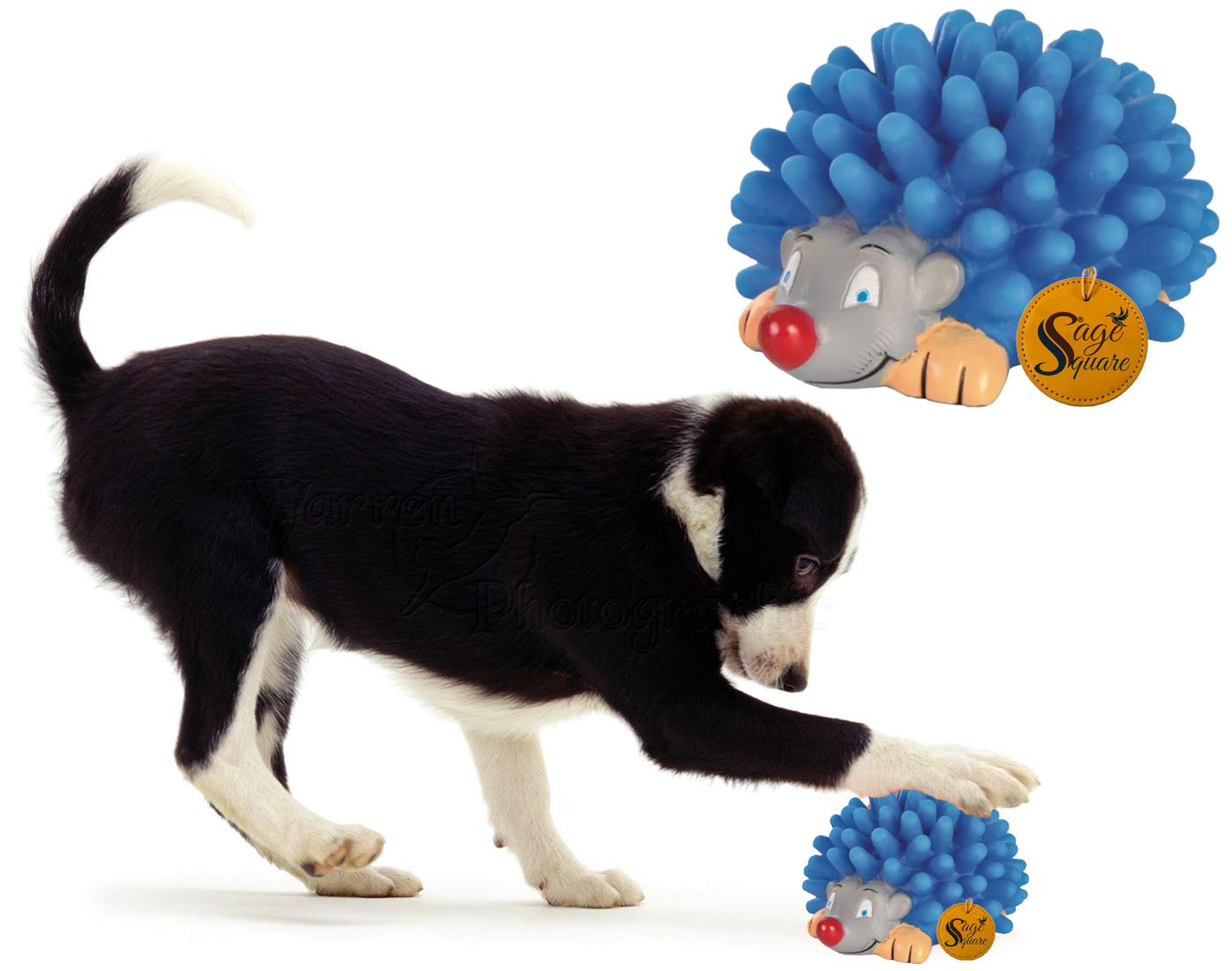 Sage Square Playful Procupine Squeaky Toy for Playtime of Cute Friend of Natural Rubber for Dog/ Puppy/ Kitten/ Cat (Blue) (B0892LF5VZ) Amazon Price History, Amazon Price Tracker