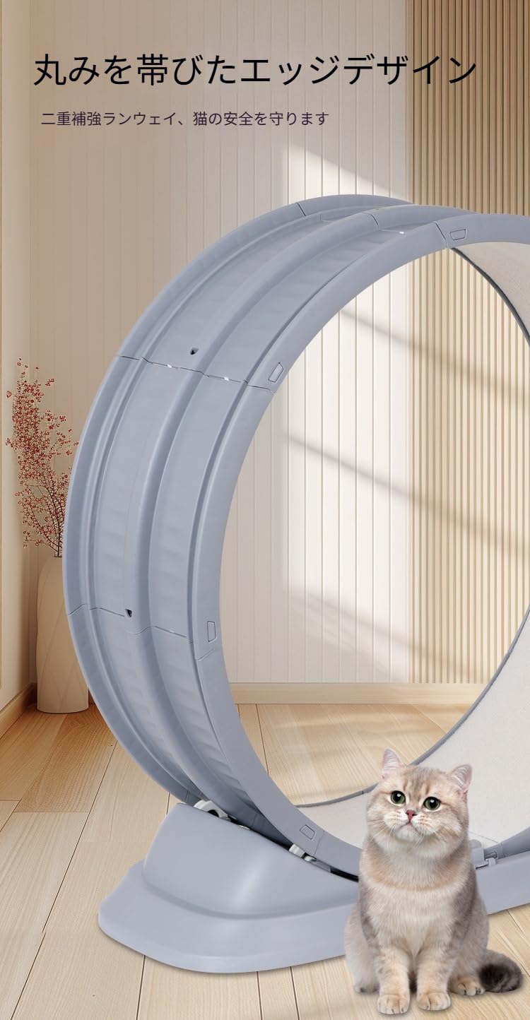 Amazon.co.jp: KDBT 猫グッズ【静音&安全設計】キャットホイール 直径