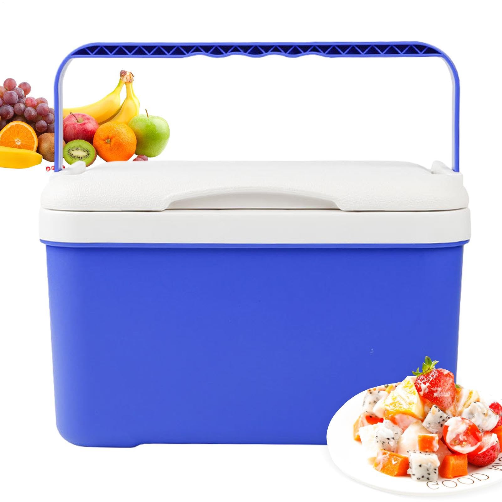 Cooler Box 6L Isolato Cassapanca Resistente alle Perdite
