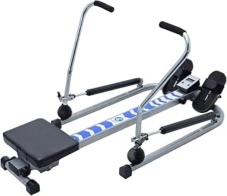 Rowing Machines Rowing Machine for Home Gym Silent Hydraulic Rowing Device Indoor Professional Fitness Equipment Removable Mat 360(Physical Exercise)