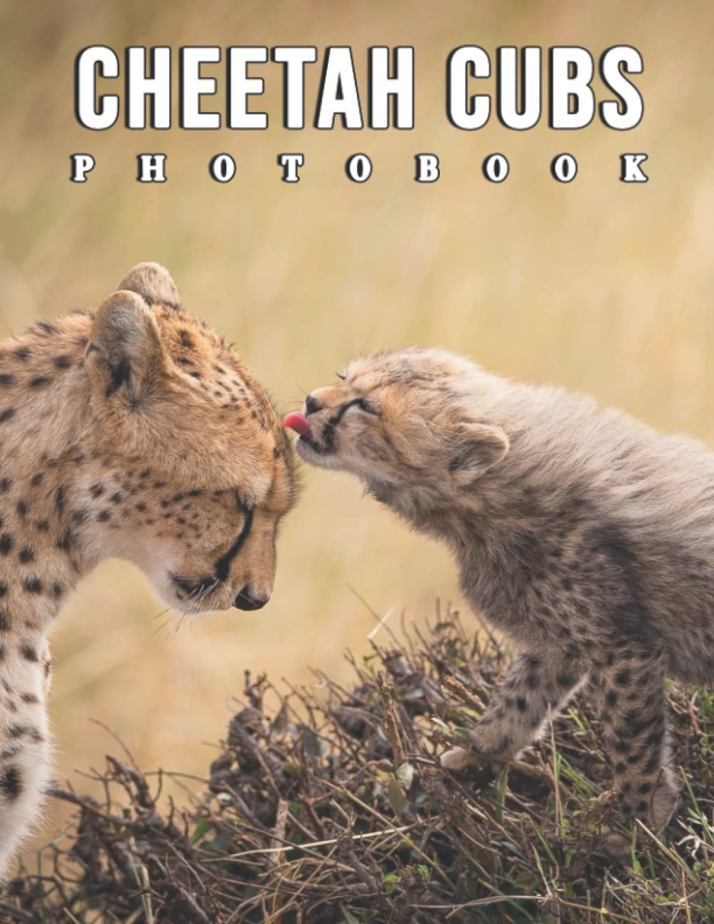 The Photo Of Cheetah Cubs: Compelling Photos Collection Of Cheetah Cubs As A Great Gift For Adults, Teens, Kids To Relax And Relieve Stress
