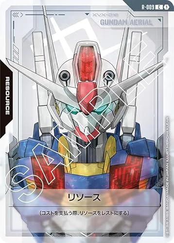 �K���_���J�[�h�Q�[�� R-009 ���\�[�X (C) Newtype Rising [GD01]