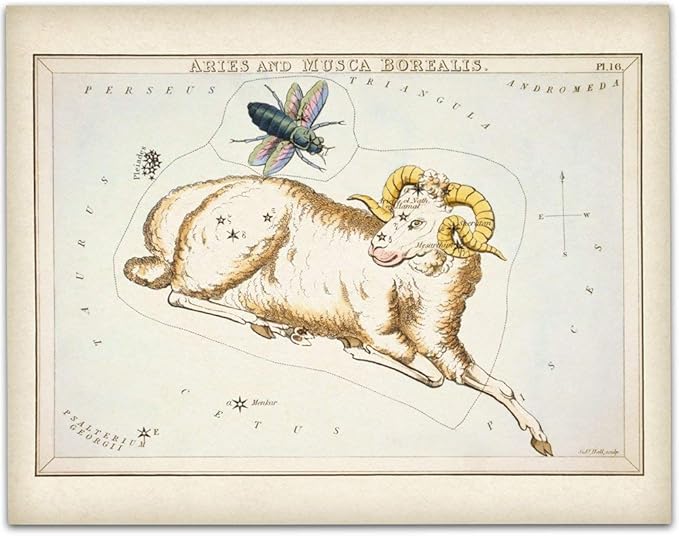 Astrology Posters - Aries Zodiac Antique Constellation Poster - 11x14 Unframed Art Print - Great Vintage Zodiac Poster, Astrology and Aptitude Vintage Home Wall Decor for Astrology Enthusiasts