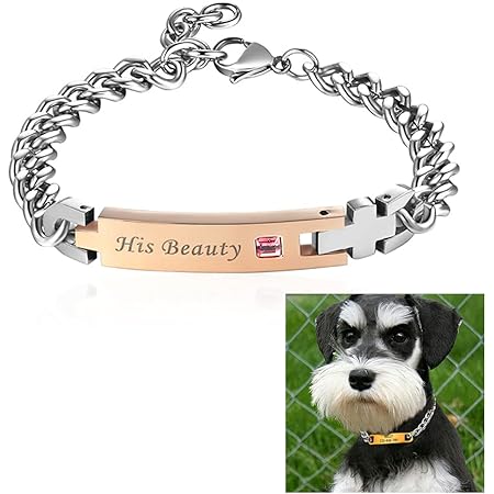 Amazon Z23z 犬首輪 チタン鋼 レーザー彫刻 迷子札 子犬 小型犬 中型犬 猫用 ペット犬 猫 布地の首輪 迷子札 レーザー彫刻 ドッグタグ 名札付き 名前 電話番号刻印可能 ネームプレート Idタグ Xs Xxl Xl D Z23z 名札 Idタグ 通販