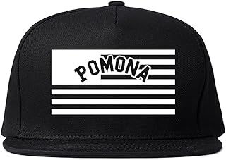 City of Pomona with United States Flag Snapback Hat Cap Black